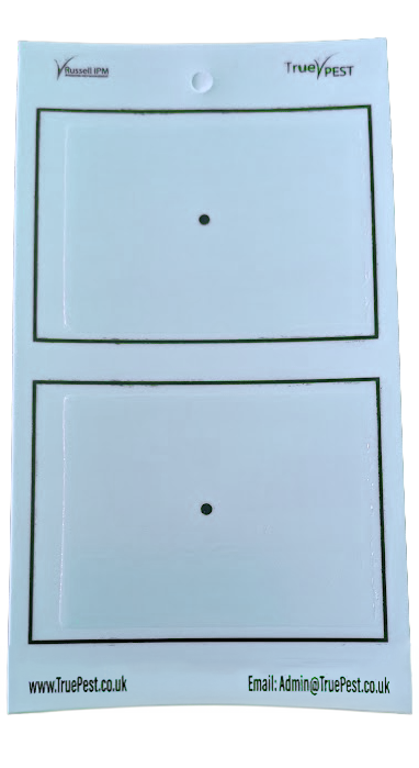 TruePest Board Light Blue 10cm x 25cm